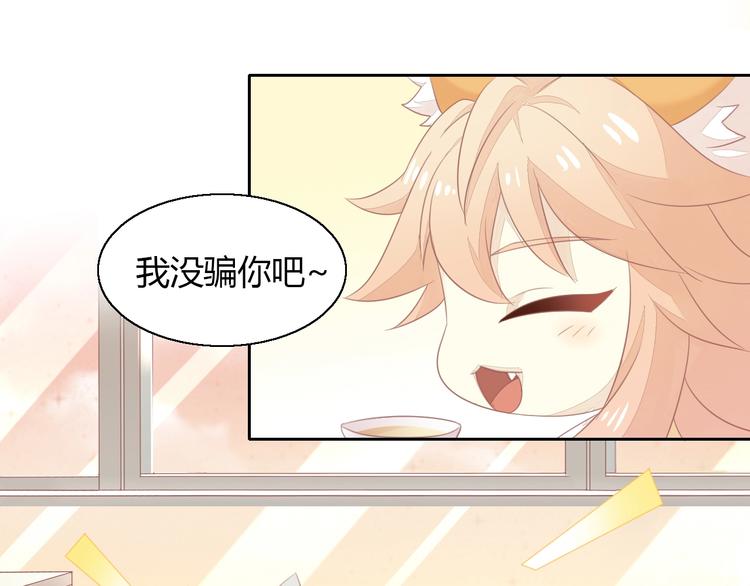 第129话 猫舍C位（五）(1/2)-第130话