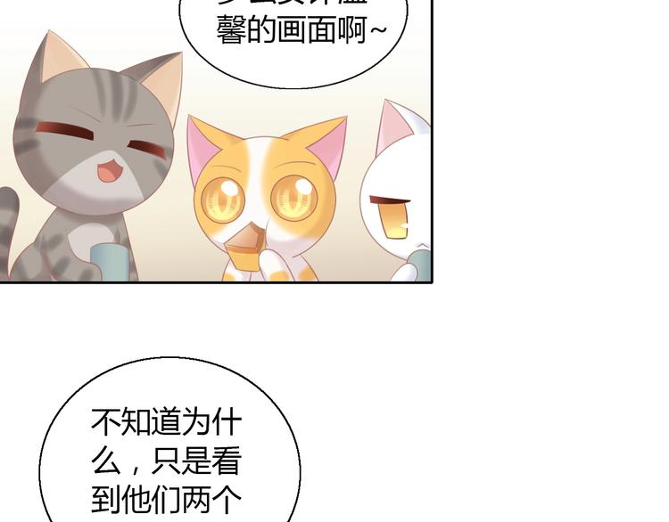 第129话 猫舍C位（五）(1/2)-第130话