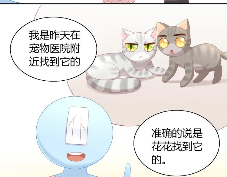 第129话 猫舍C位（五）(1/2)-第130话