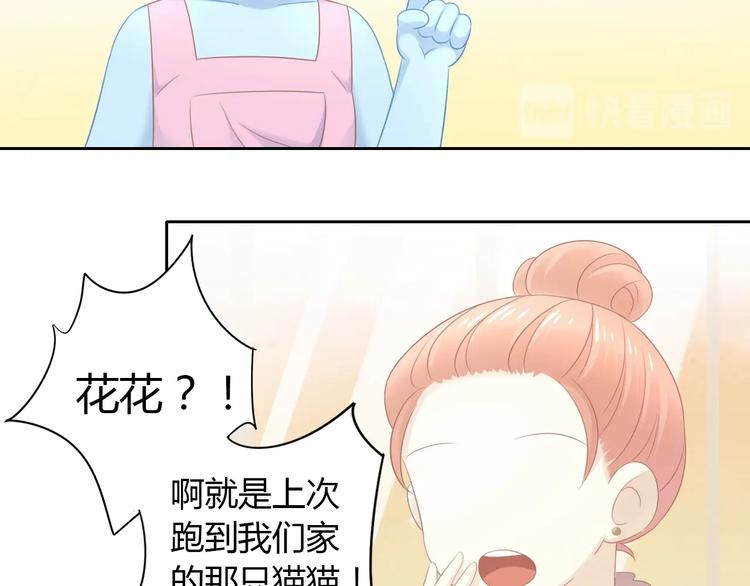 第129话 猫舍C位（五）(1/2)-第130话