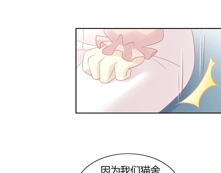 第129话 猫舍C位（五）(1/2)-第130话