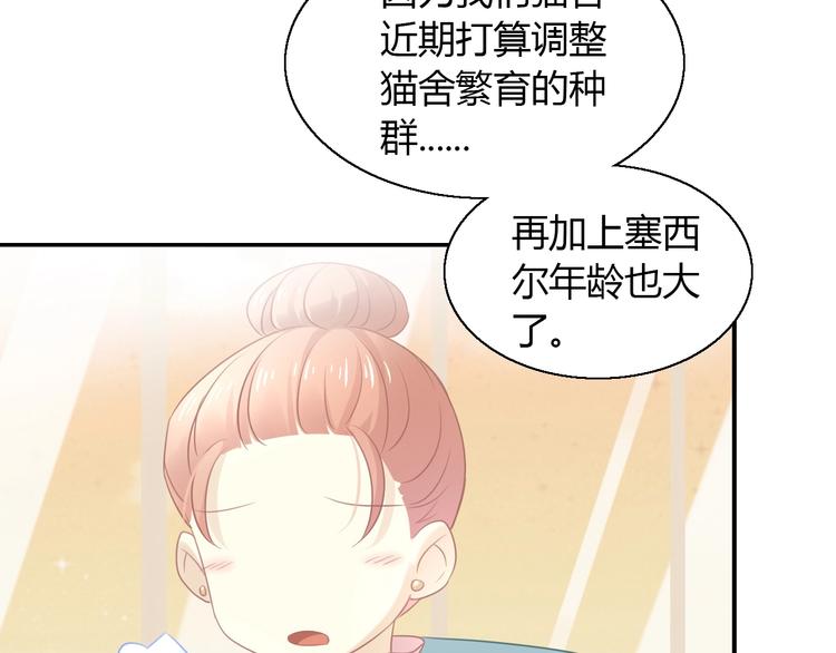 第129话 猫舍C位（五）(1/2)-第130话