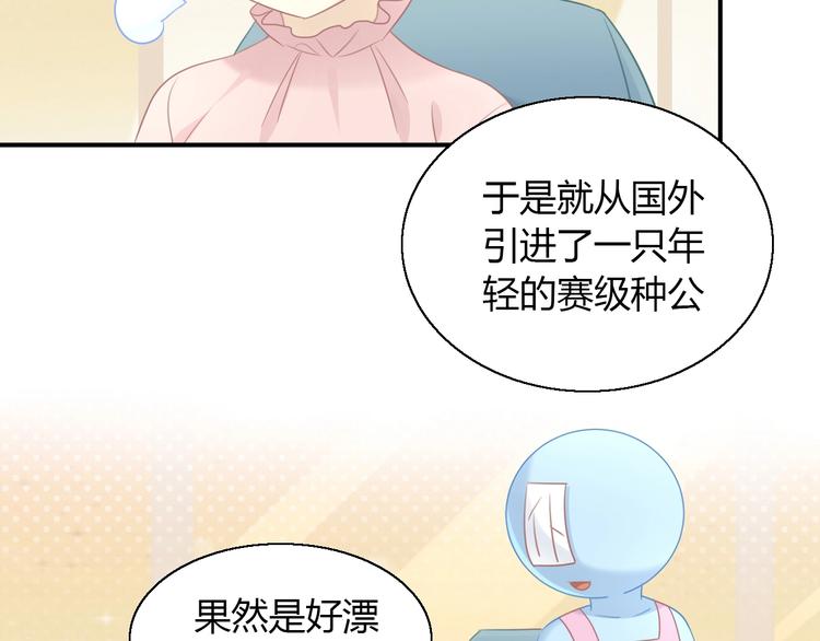 第129话 猫舍C位（五）(1/2)-第130话