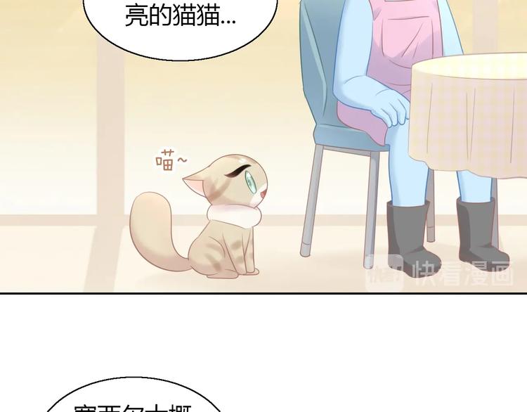 第129话 猫舍C位（五）(1/2)-第130话