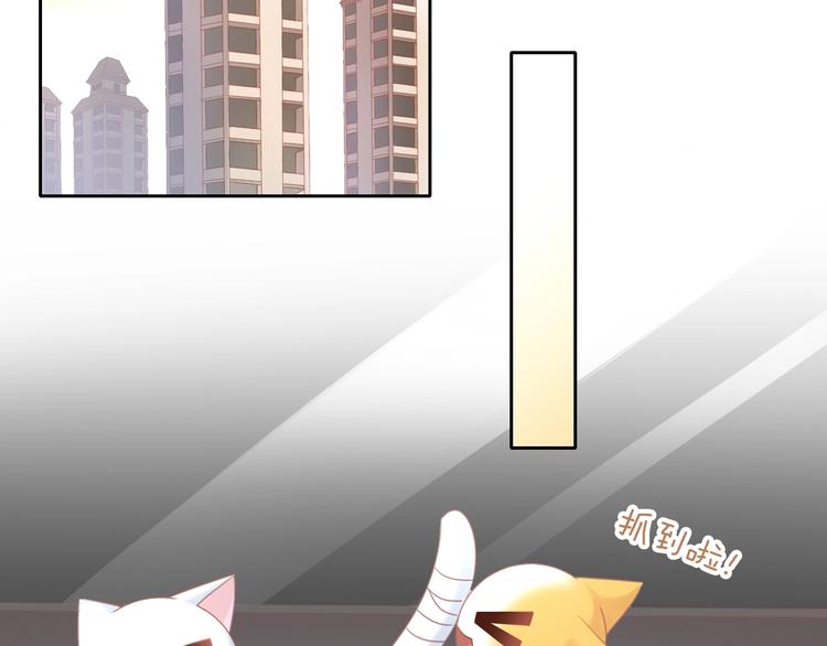 第129话 猫舍C位（五）(1/2)-第130话
