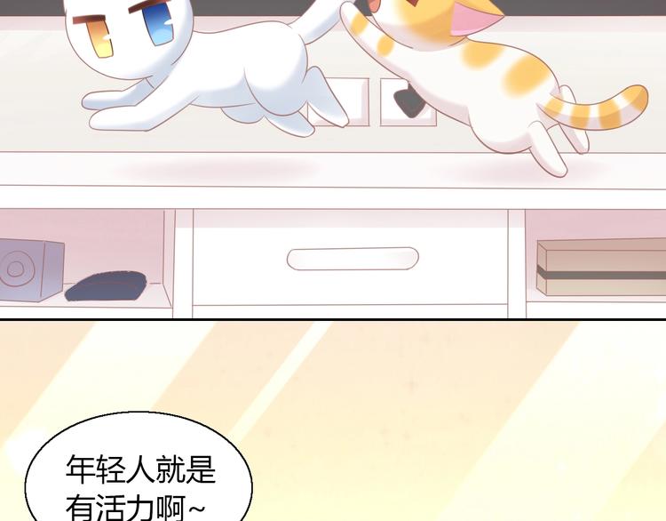 第129话 猫舍C位（五）(1/2)-第130话
