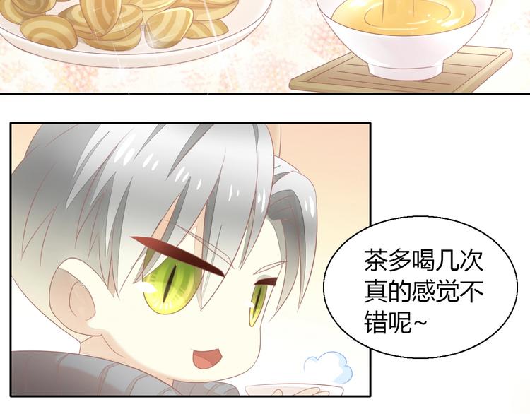 第129话 猫舍C位（五）(1/2)-第130话
