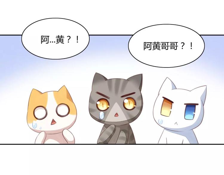 第14话  萌宠失踪(1/2)-第14话