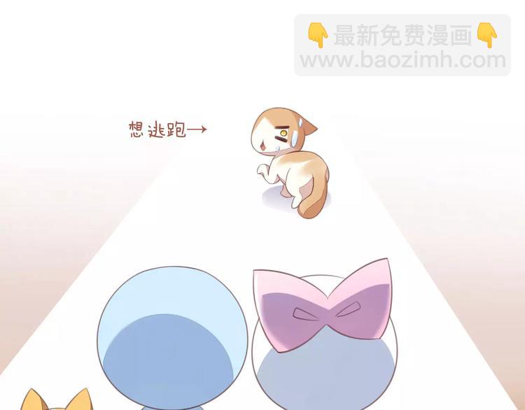 第14话  萌宠失踪(1/2)-第14话