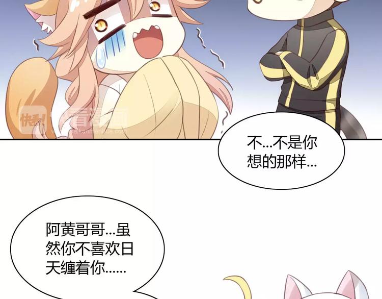 第14话  萌宠失踪(1/2)-第14话