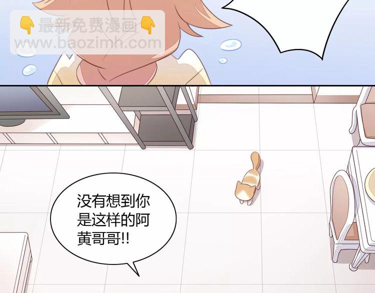 第14话  萌宠失踪(1/2)-第14话