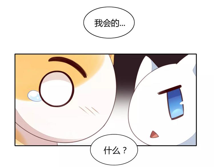 第14话  萌宠失踪(1/2)-第14话