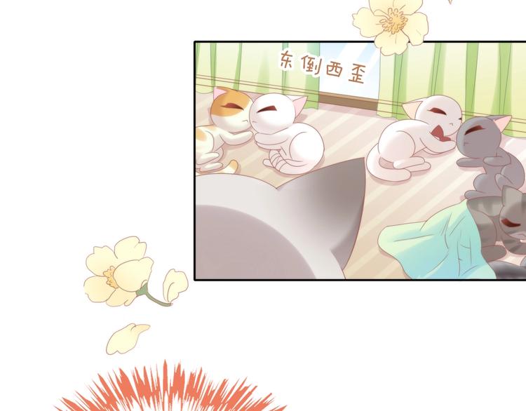 第133话 撸猫技师（一）(1/2)-第134话