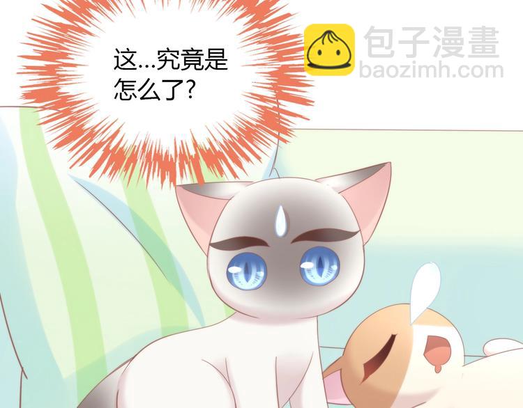 第133话 撸猫技师（一）(1/2)-第134话