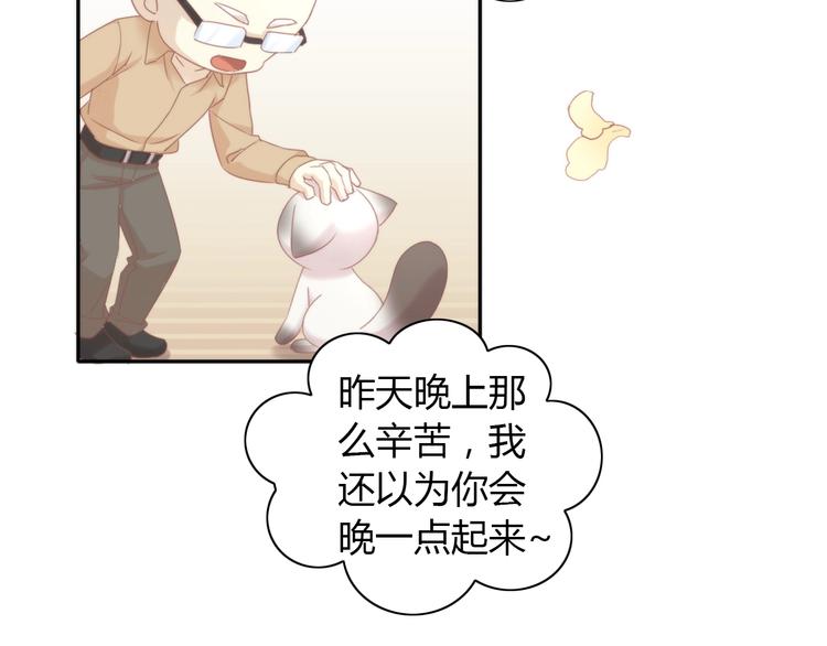 第133话 撸猫技师（一）(1/2)-第134话