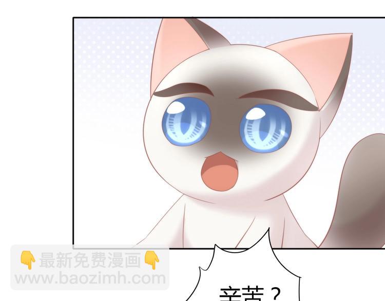 第133话 撸猫技师（一）(1/2)-第134话