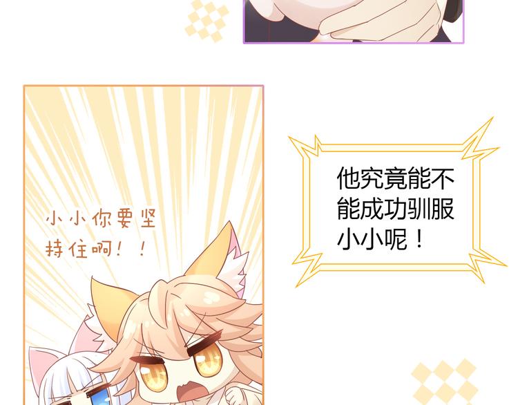 第135话 撸猫技师（三）(1/2)-第136话