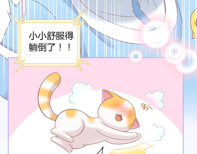 第135话 撸猫技师（三）(1/2)-第136话