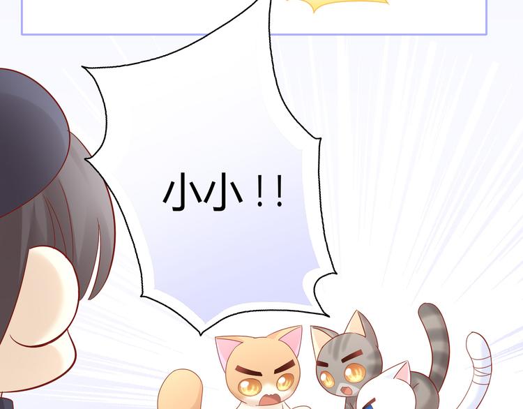 第135话 撸猫技师（三）(1/2)-第136话