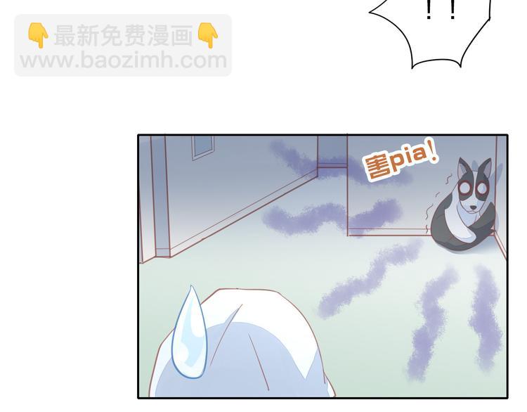 第143话 腮红鹦鹉(1/2)-第144话