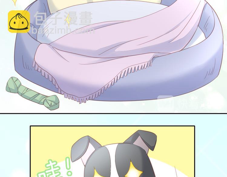 第143话 腮红鹦鹉(1/2)-第144话