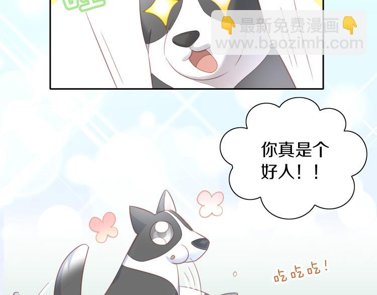 第143话 腮红鹦鹉(1/2)-第144话