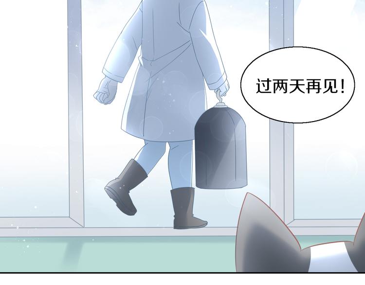 第143话 腮红鹦鹉(1/2)-第144话