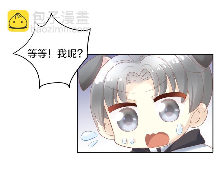 第143话 腮红鹦鹉(1/2)-第144话
