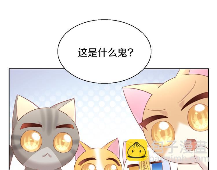 第143话 腮红鹦鹉(1/2)-第144话