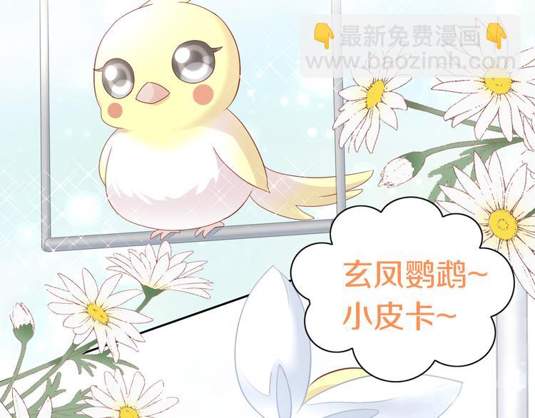 第143话 腮红鹦鹉(1/2)-第144话