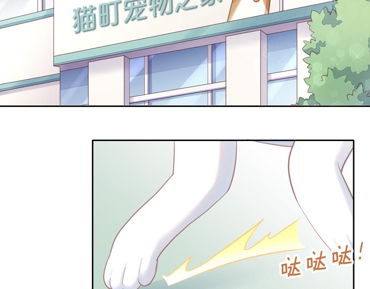 第143话 腮红鹦鹉(1/2)-第144话