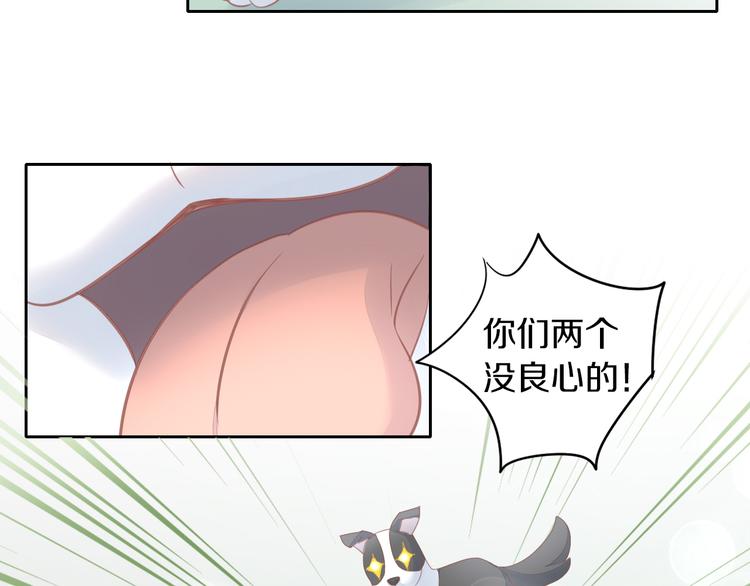 第143话 腮红鹦鹉(1/2)-第144话