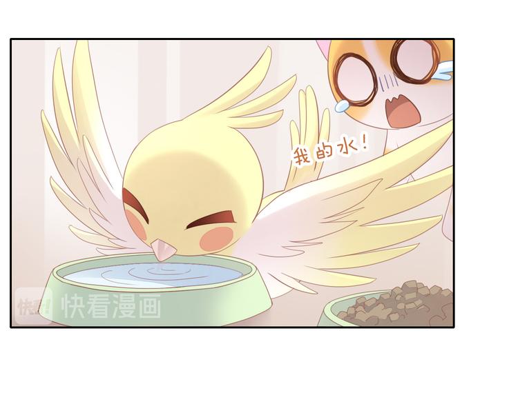第145话 洗香香(1/2)-第146话