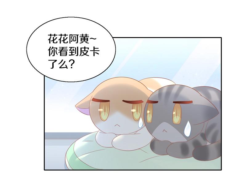 第147话 走花路吧！皮卡！(1/2)-第148话