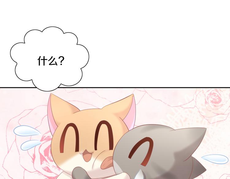 第147话 走花路吧！皮卡！(1/2)-第148话