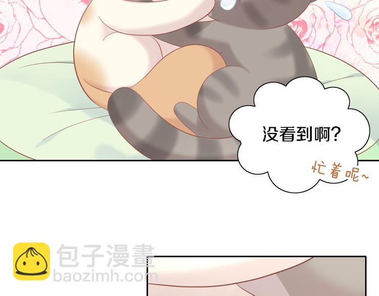 第147话 走花路吧！皮卡！(1/2)-第148话