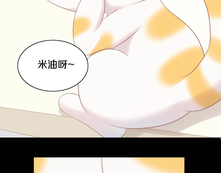 第147话 走花路吧！皮卡！(1/2)-第148话