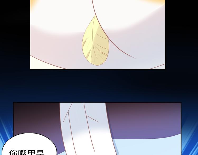 第147话 走花路吧！皮卡！(1/2)-第148话