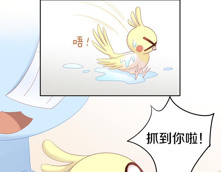 第147话 走花路吧！皮卡！(1/2)-第148话