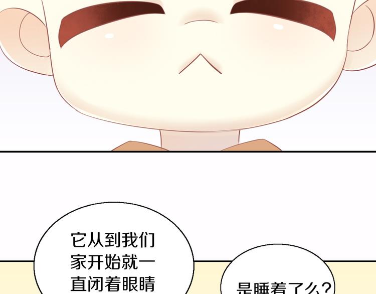 第151话 闭与睁(1/3)-第152话