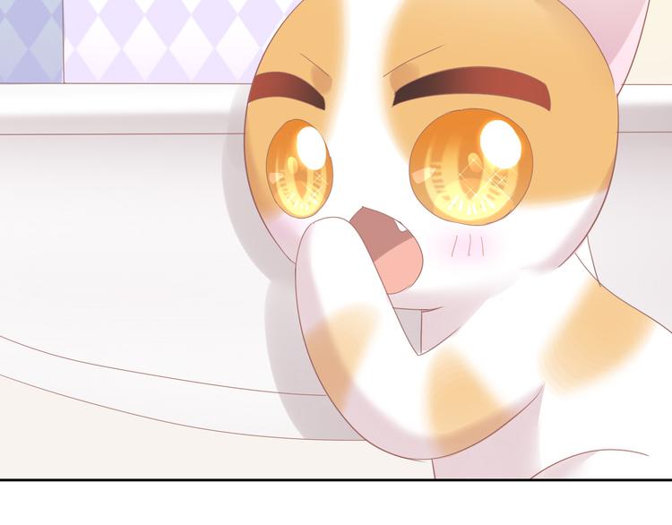 第167话 疯狂的蛋糕(1/2)-第168话
