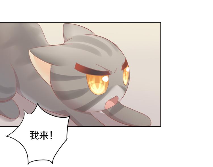 第167话 疯狂的蛋糕(1/2)-第168话