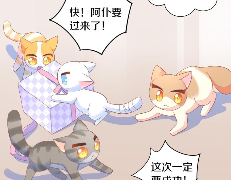 第167话 疯狂的蛋糕(1/2)-第168话