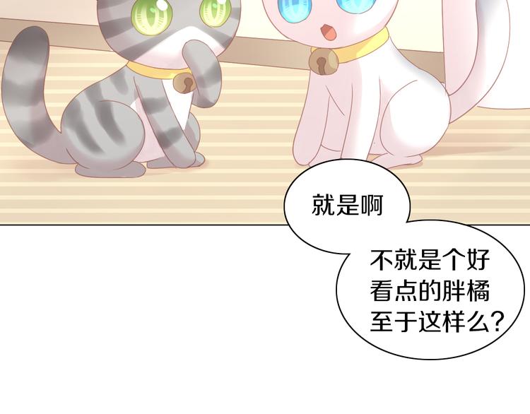 第173话 全员外宿(1/3)-第174话