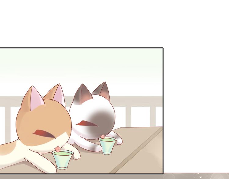 第175话 茶老板的营销学(1/2)-第176话