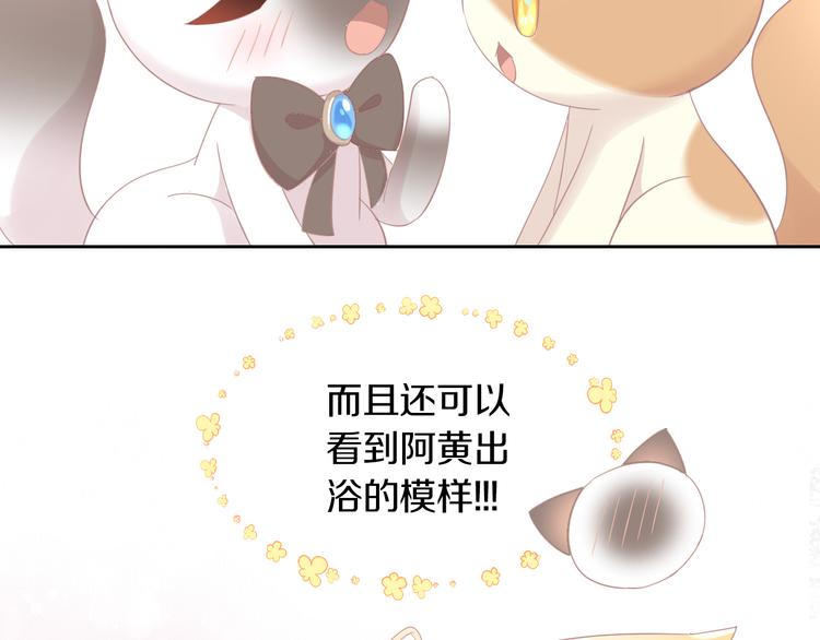 第179话 SPA(1/2)-第180话