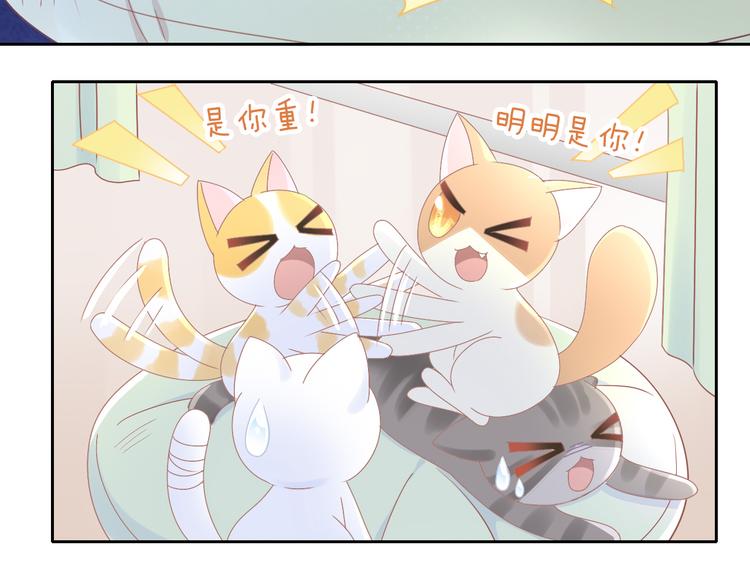 第181回  拿破仑(1/2)-第182话