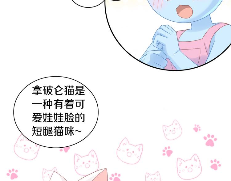 第181回  拿破仑(1/2)-第182话