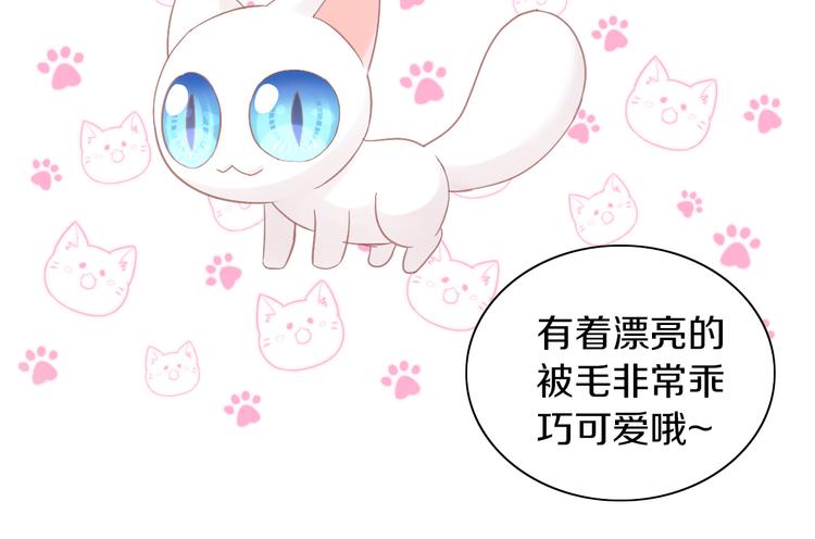 第181回  拿破仑(1/2)-第182话