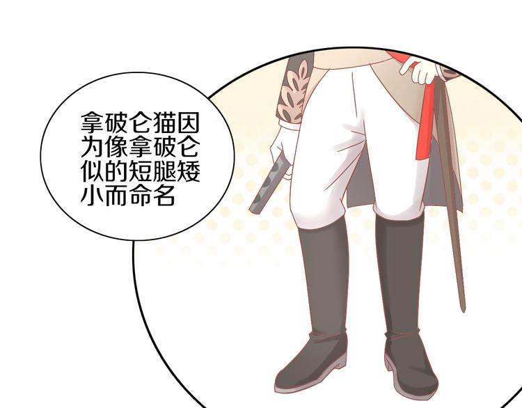 第181回  拿破仑(1/2)-第182话